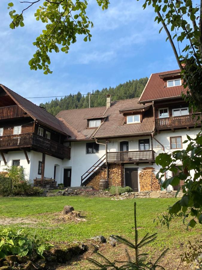 Gailtal Appartements Nähe Skigebiet Wertschach Buitenkant foto